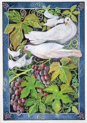 Doves
